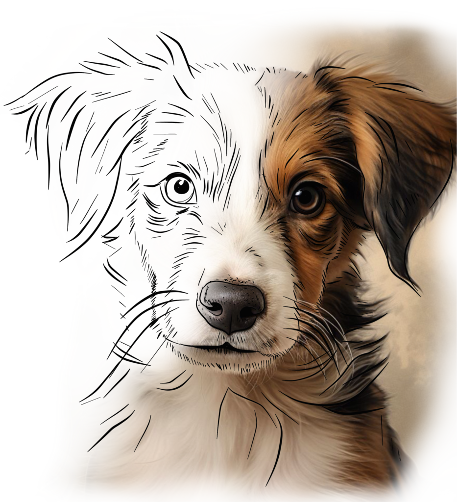 custom pet portraits